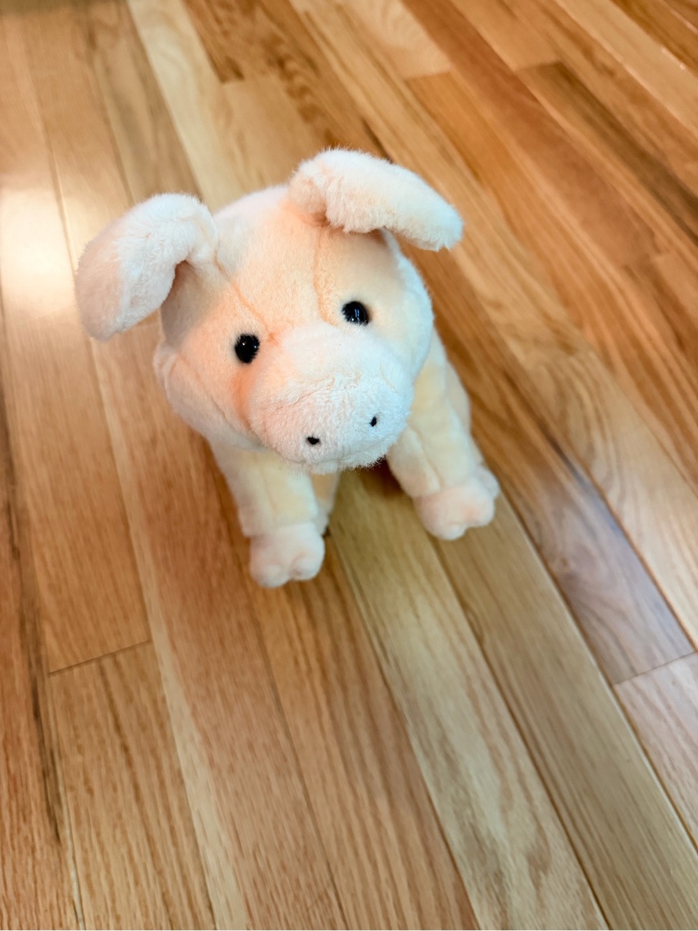Beanie buddies pig